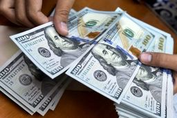 دلار به تغییر دولت واکنش نشان می‌دهد؟