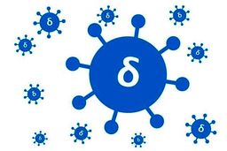 سویه دلتا به طور خاص کودکان را درگیر نمی کند