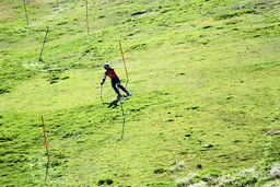 نتیجه ملی‌پوشان اسکی روی چمن ایران در مارپیج بزرگ جام جهانی ایتالیا