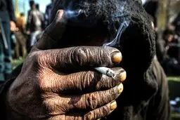 میانگین سن معتادان در کشور ۲۳ تا ۲۴ سال است