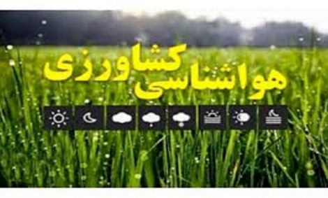 هشدارهای هواشناسی به کشاورزان و دامداران/خشکسالی در مناطق جنوبی شدید است