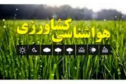 یک کشته در اعتراضات الیگودرز لرستان