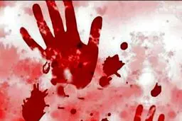 دختری که دوست صمیمیش را به قتل رسانده بود آزاد شد!
