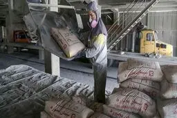 رشد ۵۰۰ درصدی قیمت سیمان/جولان ۱۵ واسطه‌ در بازاری که ناظر ندارد