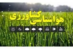 پاییز کم بارش در انتظار کشت‌های پاییزه