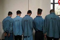 قتل فجیع در عروسی / جوان ۲۶ ساله جلوی مهمانان جان داد