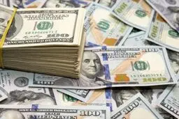 پای دلار در کفش بی‌ثباتی