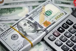 دلار و یورو در صرافی ملی چند؟