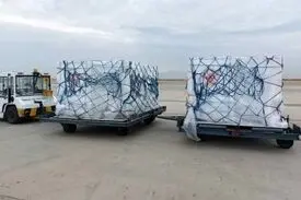 یازدهمین محموله واکسن کرونا وارد کشور شد