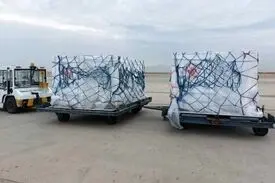 یازدهمین محموله واکسن کرونا وارد کشور شد