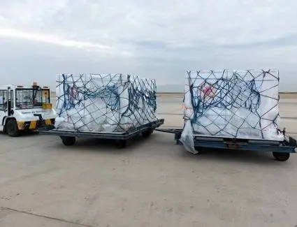 یازدهمین محموله واکسن کرونا وارد کشور شد