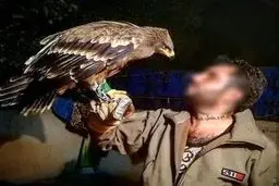 فروش عقاب به عنوان حیوان خانگی در فضای مجازی