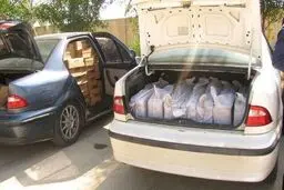 جان در‌ ازای نان؛ شوتی گری همتای جدید سوخت بری و کولبری