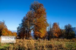 پاییز امسال، گرمتر از حالت عادی است/احتمال کاهش ۳۰ درصدی بارش‌ها