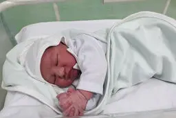 پدر و مادرها بیشتر در چه سنی بچه‌دار شده‌اند؟