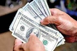 دلار ۲۵ هزار و ۲۵۵ تومان است