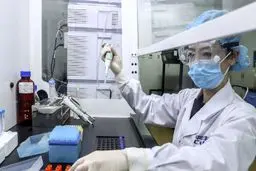 اثربخشی واکسن «سینوفارم» در برابر گونه دلتا کرونا ثابت شد