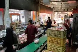 توزیع مرغ از طریق اداره پست!