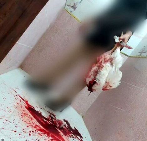 این زنان &#8220;قصاب&#8221; نیستند؛ &#8220;بیمار&#8221;ند با ویروسی مسری‌تر از کرونا