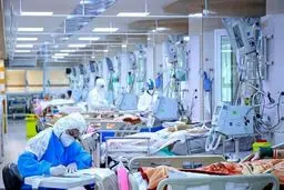 احتمال رسیدن به مرگ روزانه ۸۰۰نفر بر اثر کرونا