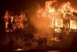 افشای قتل زوج مسن در میان شعله‌های آتش!