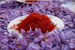 طلای سرخ گران شد