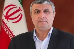 رئیس جدید سازمان انرژی اتمی کیست؟