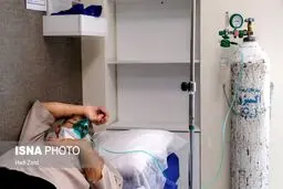 فوت ۳۰ درصد مبتلایان به قارچ سیاه در یک بیمارستان تهران