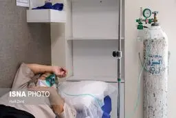 فوت ۳۰ درصد مبتلایان به قارچ سیاه در یک بیمارستان تهران