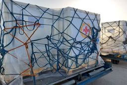 هفته آینده محموله بزرگ واکسن وارد کشور می‌شود