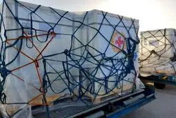 هفته آینده محموله بزرگ واکسن وارد کشور می‌شود