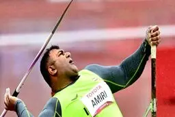 حامد امیری طلایی شد