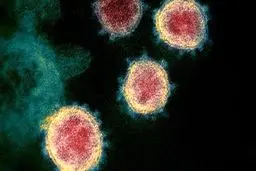 ۹ نکته درباره سویه «مو» ویروس کرونا