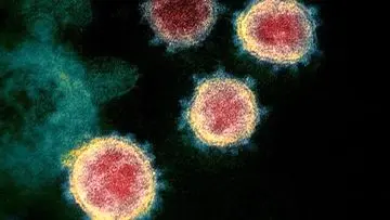 ۹ نکته درباره سویه «مو» ویروس کرونا