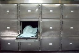 سردخانه‌های فلوریدا از پس آمار بالای تلفات کرونایی‌ها برنمی آیند