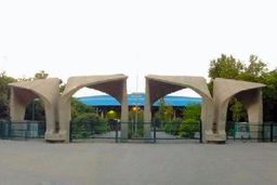 دانشگاه رفتن از سکه افتاد/ ۵۲ درصد داوطلبان مجاز کنکور انتخاب رشته نکردند