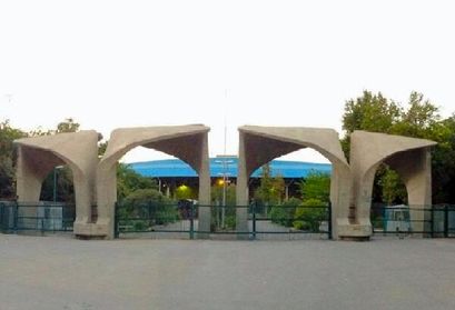 دانشگاه رفتن از سکه افتاد/ ۵۲ درصد داوطلبان مجاز کنکور انتخاب رشته نکردند