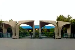 دانشگاه رفتن از سکه افتاد/ ۵۲ درصد داوطلبان مجاز کنکور انتخاب رشته نکردند