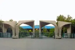 دانشگاه رفتن از سکه افتاد/ ۵۲ درصد داوطلبان مجاز کنکور انتخاب رشته نکردند