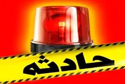 کلاهبرداری بانکی از شهروندان با دستگاه قبض زنی/ کشف تریاک های قاچاق از بطری نوشابه