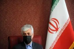 سرخابی‌ها تا ۲ ماه آینده خصوصی‌ می‌شوند