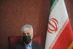 سرخابی‌ها تا ۲ ماه آینده خصوصی‌ می‌شوند