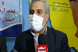 افزایش قیمت نان فعلا منتفی است