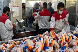 قیمت مرغ در میادین میوه و تره بار اعلام شد