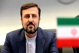 پاسخ غریب آبادی به ادعای آزار جسمی بازرس زن آژانس