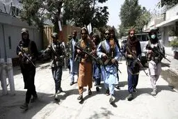 سناتوران: بگویید طالبان تروریست است.