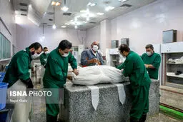 ۴۵۳ فوتی جدید کرونا در شبانه‌روز گذشته/ مجموع جانباختگان از ۱۱۶هزار نفر فراتر رفت