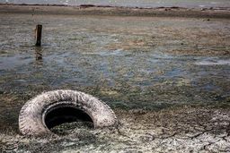 استاندار گلستان: ۳۰ درصد خلیج گرگان خشک شد