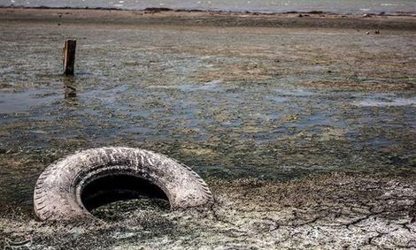 استاندار گلستان: ۳۰ درصد خلیج گرگان خشک شد