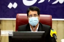 زوار اربعین پس از انجام تست کرونا به کشور وارد می شوند